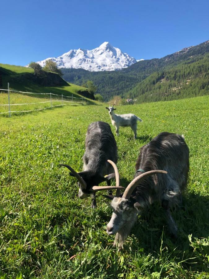 Appartamento Granbichlhof Sölden Esterno foto