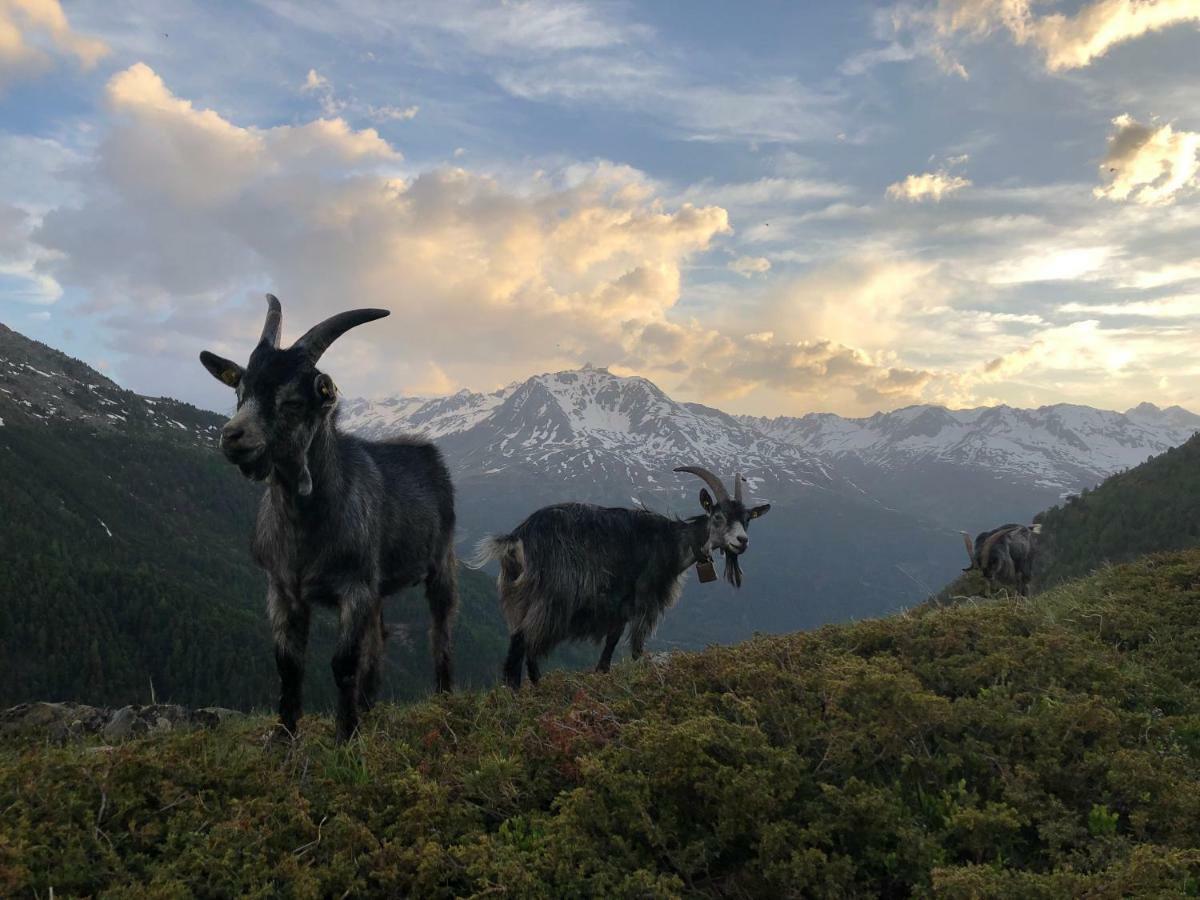 Appartamento Granbichlhof Sölden Esterno foto
