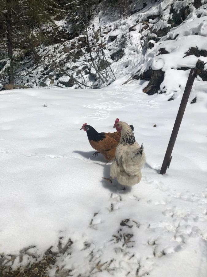 Appartamento Granbichlhof Sölden Esterno foto