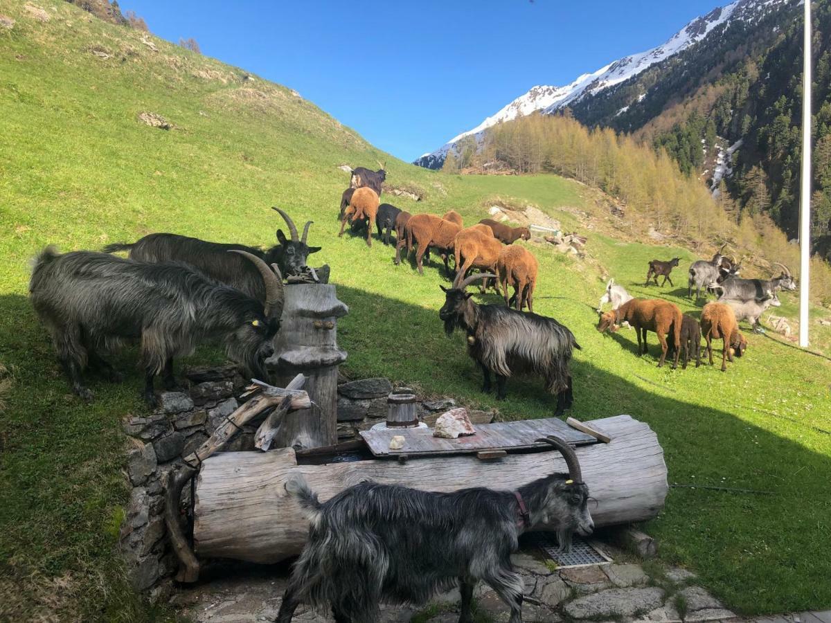 Appartamento Granbichlhof Sölden Esterno foto
