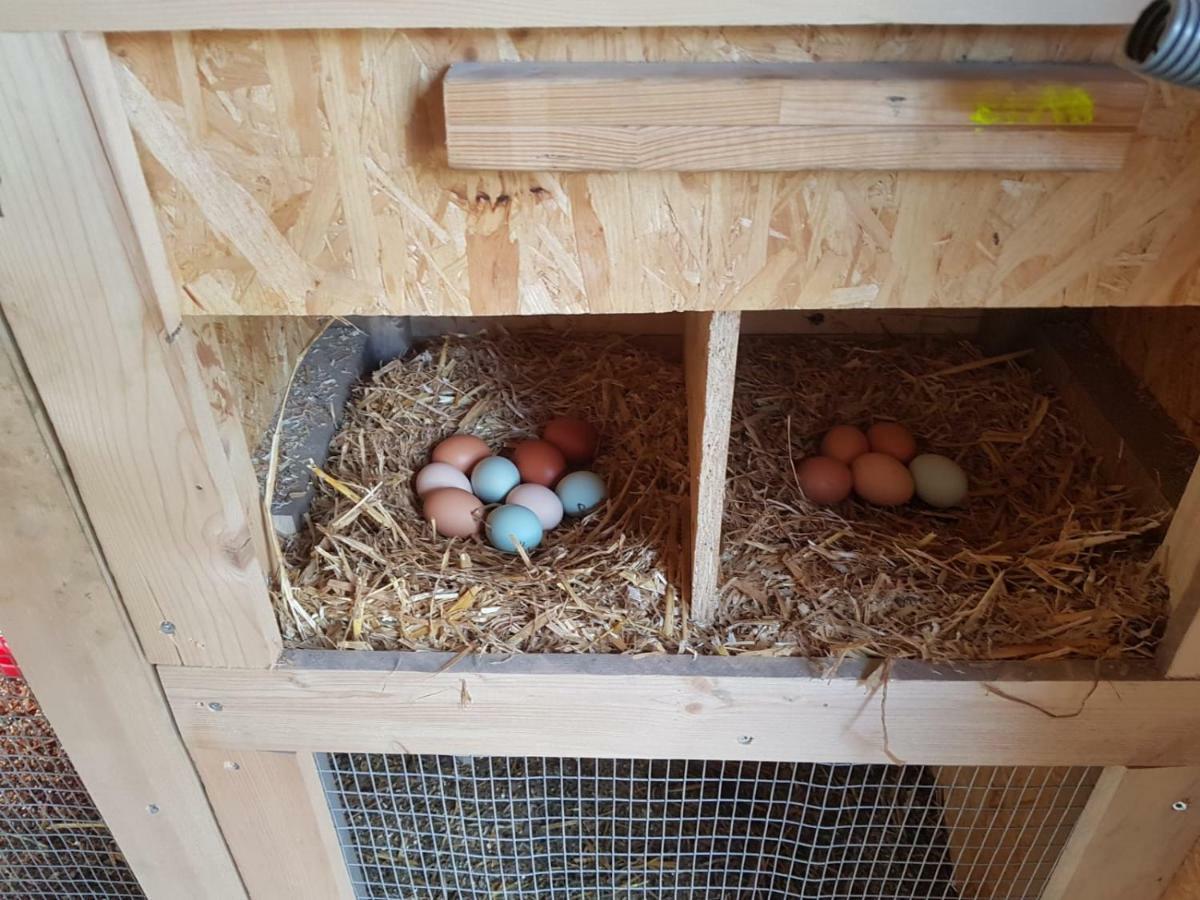 Appartamento Granbichlhof Sölden Esterno foto