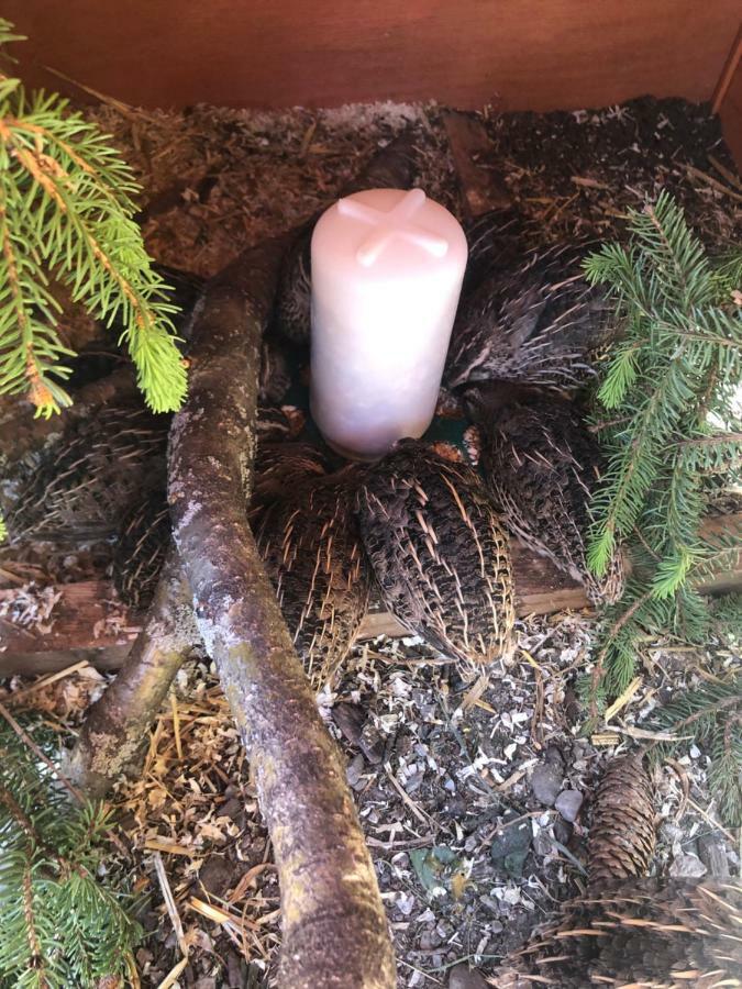 Appartamento Granbichlhof Sölden Esterno foto