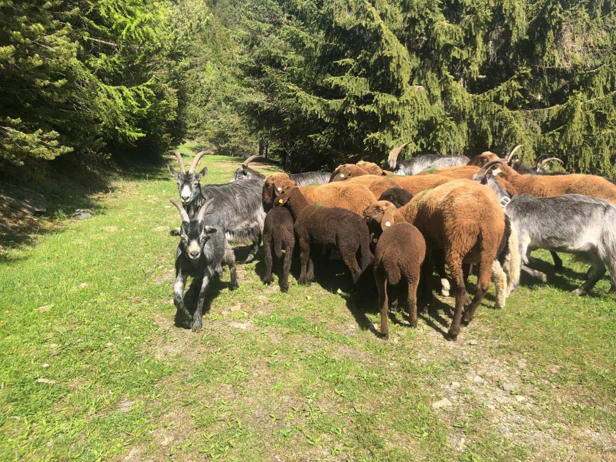 Appartamento Granbichlhof Sölden Esterno foto